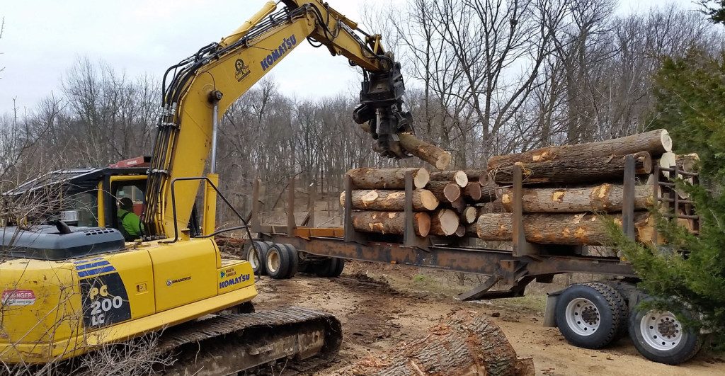 clearing land in louisville