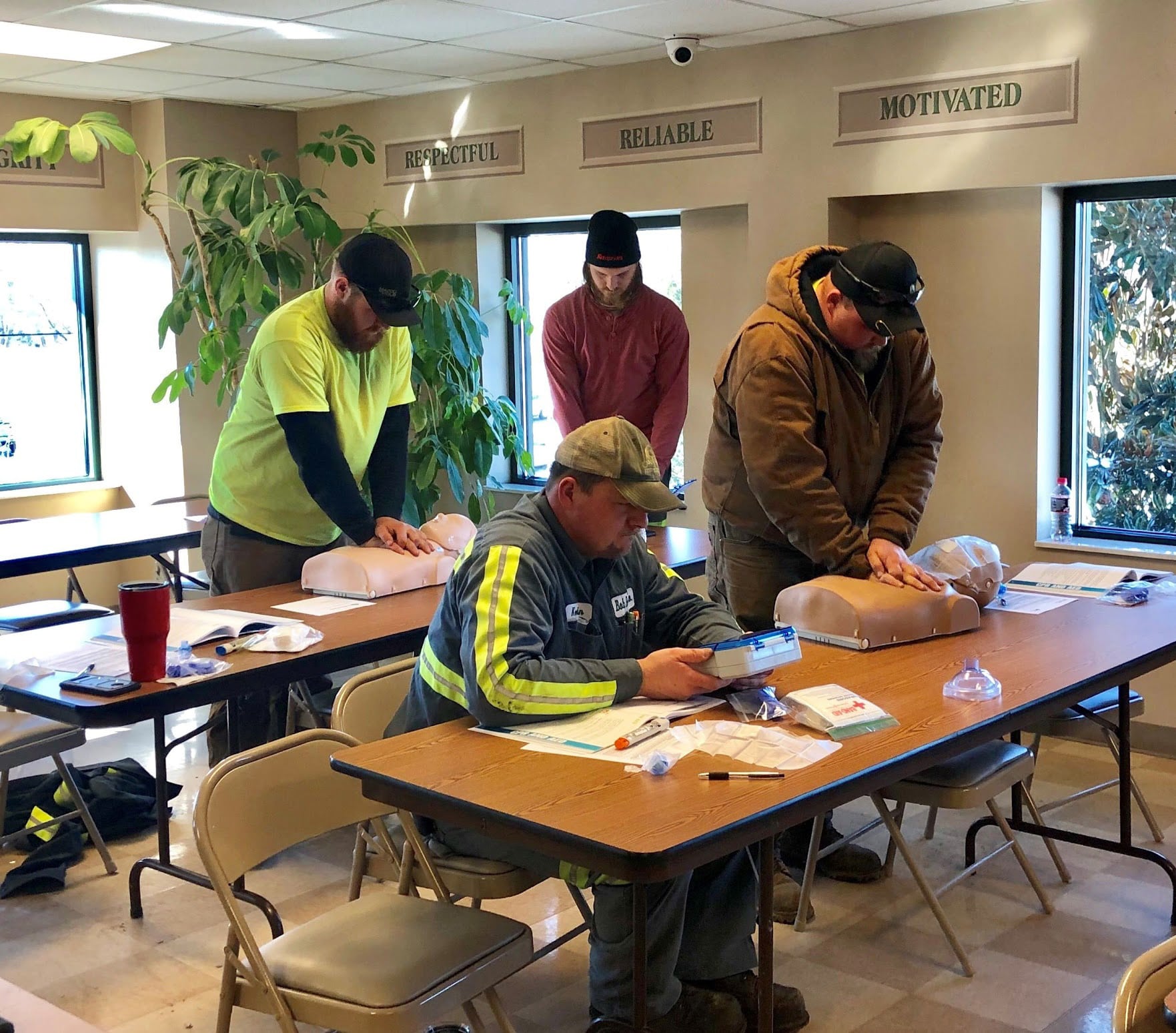 arborist training